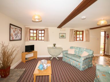 A living room with two sofas a coffee table a TV on a wooden stand and a folding table at The Linney in Colyton