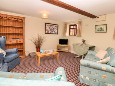 A living room with a blue armchair a wooden bookshelf a small coffee table a TV on a wooden stand a drop-leaf table a patterned sofa and striped carpet at The Linney in Colyton