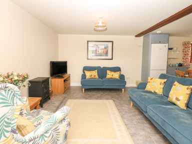 A living room with two blue sofas with yellow cushions a patterned armchair a wooden TV stand with a television and a small black stove at Battens in Colyton