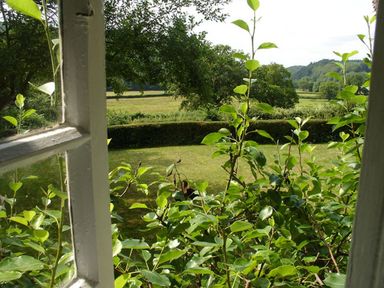 A view through a window showing green leaves bushes a grassy area and trees at Lew Quarry Cottage in Lewdown