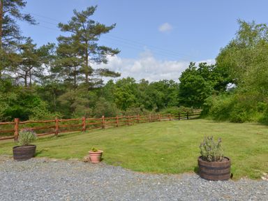 A grassy yard with a wooden fence and potted plants near a gravel area at Miners Dry in Gulworthy near Tavistock