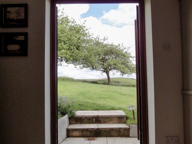 A doorway leading outside to steps a green lawn and a tree at West Henstill House in Sandford Devon