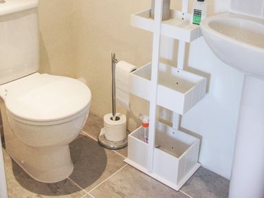A bathroom with a toilet a toilet paper holder a white storage organizer and a pedestal sink at West Henstill House in Sandford Devon