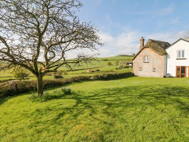 A grassy yard with a leafless tree and a stone and white house in a rural area at West Henstill House in Sandford Devon