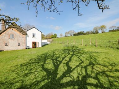 A grassy backyard with a shadow of a tree next to a thatched cottage and white house at West Henstill House in Sandford Devon