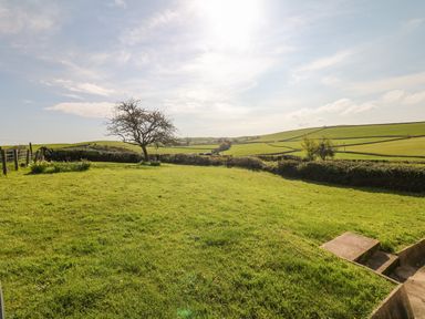 A grassy garden with a small tree and hedges overlooking green fields and rolling hills at West Henstill House Sandford Devon