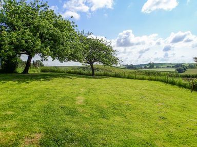 A grassy field with two trees and a fence with hills in the background at West Henstill House in Sandford Devon
