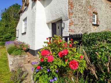 A garden with red and purple flowers beside a white and stone house at West Henstill House in Sandford Devon