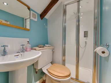 A bathroom with a sink toilet shower and mirror at Hope Cottage in Riddlecombe near Winkleigh