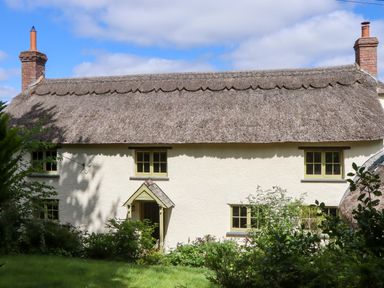 A cottage with a thatched roof and garden at Hope Cottage in Riddlecombe, near Winkleigh