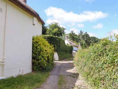 A pathway with bushes and buildings at Hope Cottage in Riddlecombe, near Winkleigh