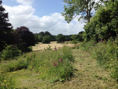 A grassy pathway with wildflowers and trees overlooking a fenced field with trees in the distance at Hedgelea in North Tawton