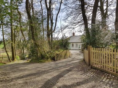 A gravel driveway leading to a house surrounded by trees and a wooden fence at Hedgelea in North Tawton