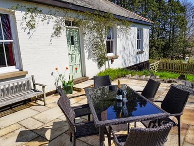 An outdoor patio with a glass table and six wicker chairs a bench orange flowers in a pot and a white building with green door and windows at Hedgelea North Tawton
