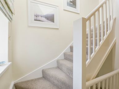 A carpeted staircase with white railing and framed pictures on wall at Linney Cottage in Dittisham