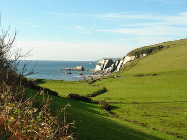 A coastal landscape with green fields, rocky cliffs and the sea in the background at Bramble Cottage in Ringmore