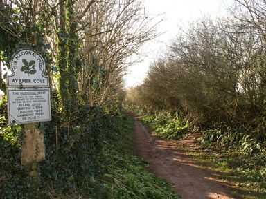 A dirt path surrounded by bare trees and bushes with a National Trust sign for Ayrmer Cove