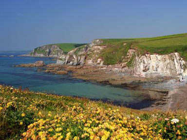 A coastal landscape with cliffs and yellow flowers by the sea at Bramble Cottage in Ringmore