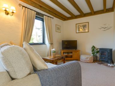 A living room with a sofa pillows coffee table television and a stove at Bramble Cottage in Ringmore