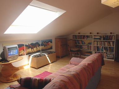 An attic room with a sofa covered with blankets a small wooden table with a TV a wooden bench under skylight paintings of horses on the wall a wooden chair with cushion a wooden cabinet and bookshelves filled with books at Galanda Treetops Newton Ferrers