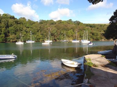 A river with boats and sailboats near a forest at Galanda Treetops in Newton Ferrers