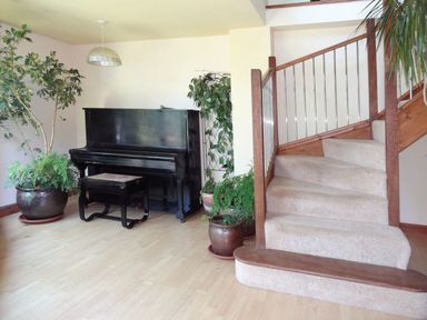 A room with a black upright piano and stool several potted plants and carpeted stairs with wooden railing Galanda Treetops Newton Ferrers