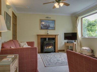 A living room with a fireplace two red sofas a television and a window at Galanda Treetops in Newton Ferrers