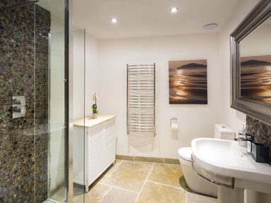 A bathroom with a glass shower enclosure, a white sink with a mirror, a toilet, a heated towel rail, a cabinet with a plant, and a framed picture on the wall at Mill Barn in Woolston near Salcombe