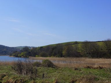 A lake surrounded by grass and trees near hills at Coach House Cottage Strete, near Dartmouth