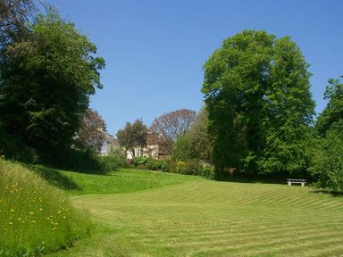 A grassy field with a wooden bench and trees under a clear sky at The Gallery in Aveton Gifford