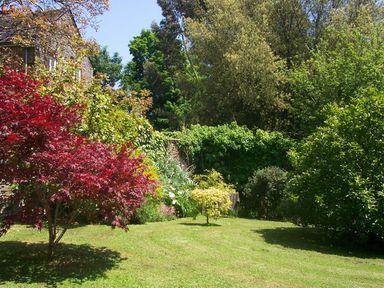 A garden with various trees bushes and a small grassy lawn at The Gallery in Aveton Gifford