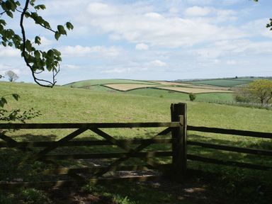 A wooden gate opening to a grassy field with rolling hills and patchwork farmland under a partly cloudy sky at The Gallery in Aveton Gifford