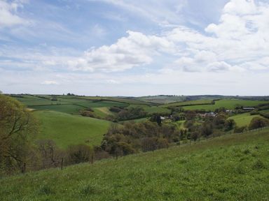 A rural landscape with rolling green fields trees and a small cluster of buildings at The Gallery in Aveton Gifford