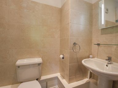 A bathroom with a toilet and a sink with mirror above at Bradbridge Barn in Newton Ferrers