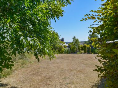 A garden with dry grass trees and shrubs with a house in the background at Parsonage Farm Cottage in Newton Ferrers