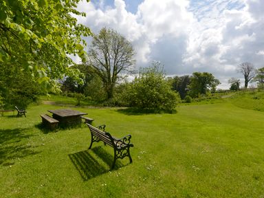 A grassy outdoor area with benches tables and trees at The Barn in Aveton Gifford