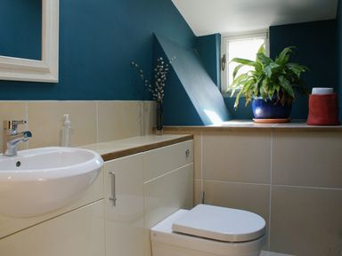 A bathroom with a sink toilet mirror and plants on a shelf at The Music Room in Aveton Gifford