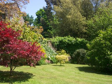 A garden with various trees shrubs and a bench near a stone building at The Music Room in Aveton Gifford