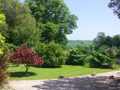 A garden with various trees and shrubs and a gravel path at The Music Room in Aveton Gifford