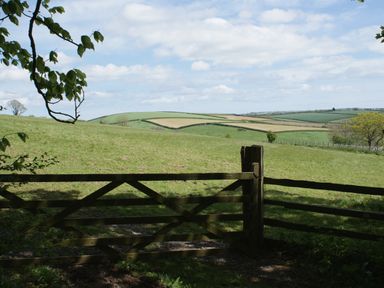 A wooden gate with a green field and rolling hills visible behind at The Music Room in Aveton Gifford