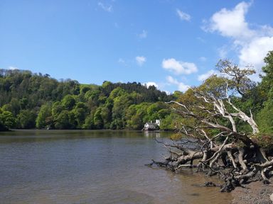 A river with trees on both sides and a white house in the distance at The Bathing House in Ashprington