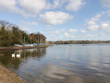 A lakeside view with boats onshore and swans in water at Dove Cottage in Dittisham