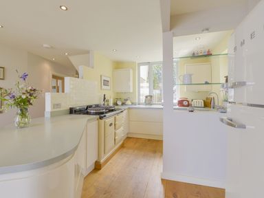A kitchen with a countertop stove a refrigerator a toaster and flowers in a vase at Dove Cottage in Dittisham