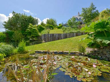 A garden pond with lily pads and flowers in front of a grassy slope with trees and a house at Dove Cottage in Dittisham
