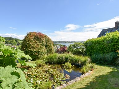 A garden with a small pond surrounded by plants and bushes near a house at Dove Cottage in Dittisham