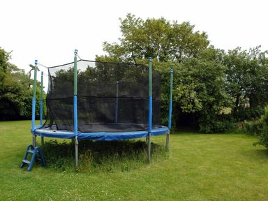 A trampoline with safety net and small blue steps on a lawn surrounded by trees at Oak Tree in Halwell