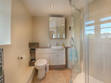 A bathroom with a toilet sink mirror cabinet and shower enclosure at Junket Cottage in Noss Mayo
