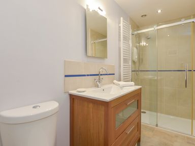 A bathroom with a toilet sink cabinet mirror heated towel rail and a glass door shower at Woodlands in Dartmouth