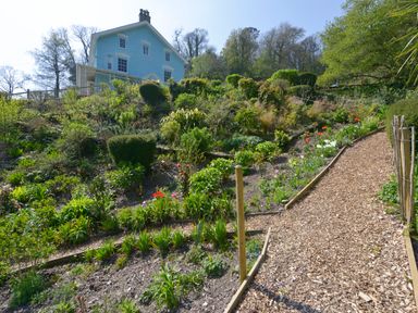 A garden with various plants and flowers next to a pathway in front of a blue house at Woodlands in Dartmouth