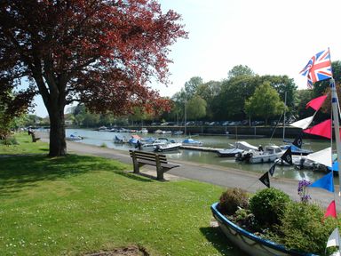 A riverside park with benches boats on the water and a tree with red leaves at Fixit Cottage in Kingsbridge